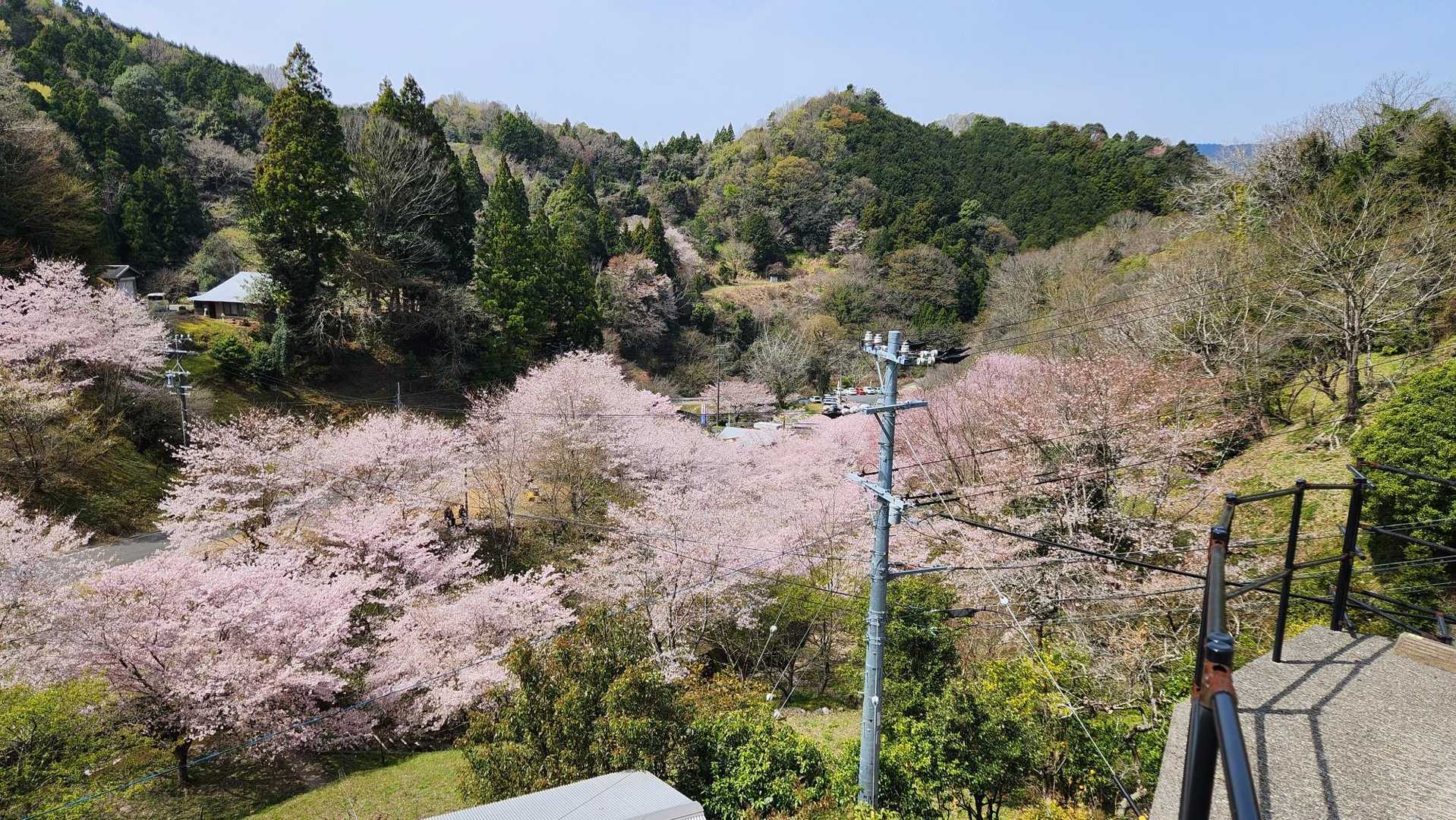 万燈山 往復コースの写真