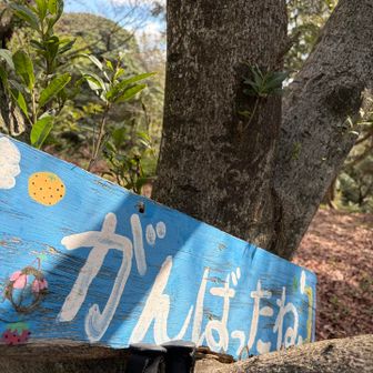 のぼったどー
頑張りました🐢