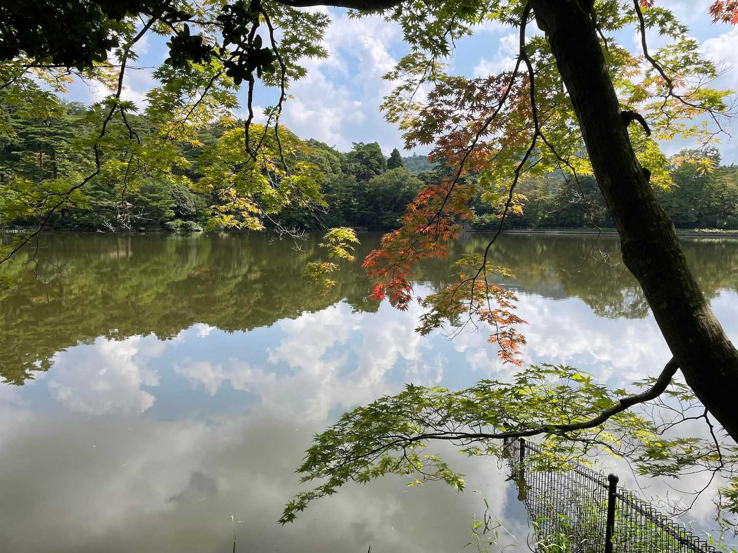 鍋蓋山-再度越-再度山 周回コースの写真