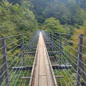長い樹林帯の下りが終わった。橋はゆれて結構こわい