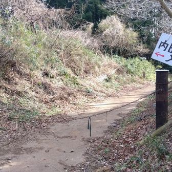 トレイルへ再突入