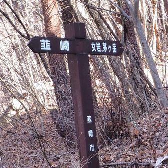 分岐に。女岩🪨方面から行きます。