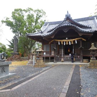 枝光八幡宮
諏訪山
YAMAP1554座目