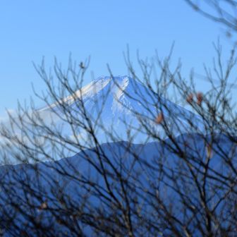 富士山の眺望を邪魔する木々