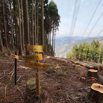 丸山（標高 731）通過

伐採もまだ新しいですね
