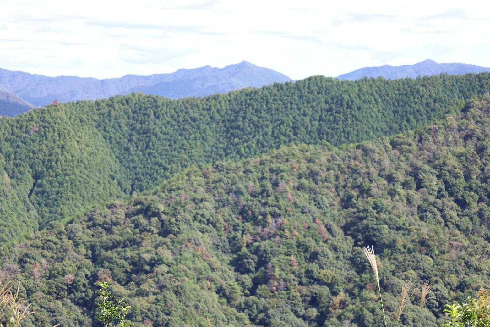 三本木山登山口-三本木山 往復コースの写真
