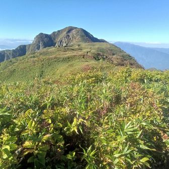 ハシゴ🪜の後 頂上近くまではアップダウン無く(最後は急登😭💦)
ササが登山道にかぶさってるところもあるが踏み跡👣👣はしっかり分かります🍀*゜