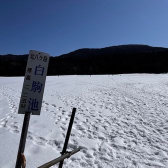 白駒池🙌
全面凍っている🧊