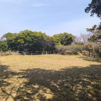 山頂の広場。お昼寝に最高！