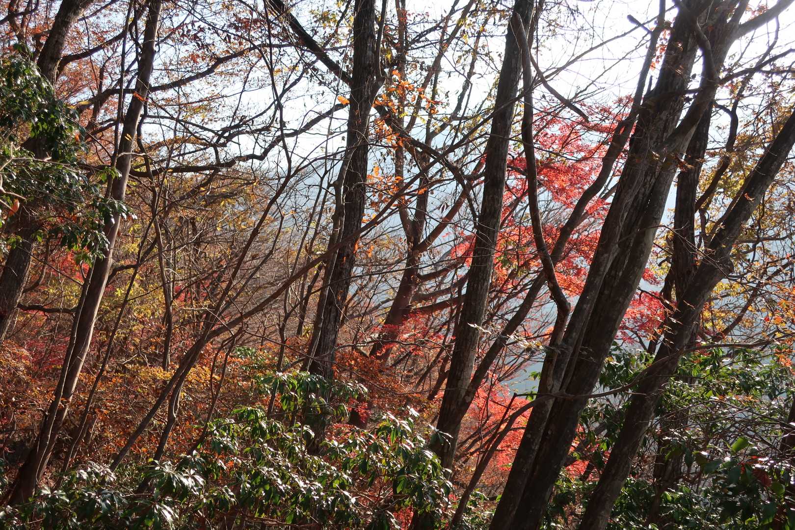 所々紅葉も見られる