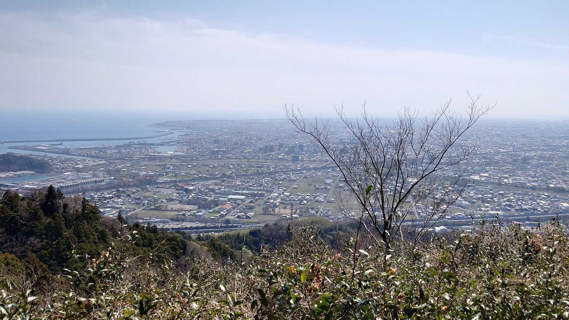 高草山 往復コースの写真