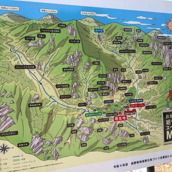 こんなにコースあるらしい…🫢