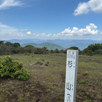 少し戻ってピークハント🚩
杉山へは距離は短いですがしっかりアップダウンしてそこそこ疲弊しました。杉山行くなら簡単では無いので心つもりを👍(画像真ん中奥はもしかして氷ノ山❓)