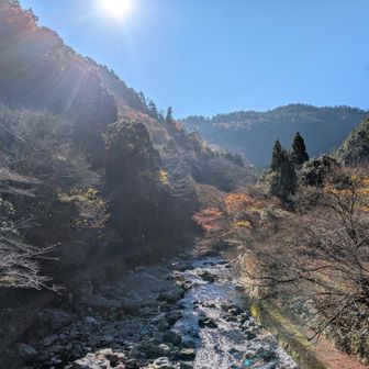 下りてみれば最高の天気。京都の街の信号機地獄を避けて、帰りはR162で小浜経由のルートで帰ることに。
これがまた絶景、カーブも多め、道幅も程よいくらいでかなり楽しめました。
…また我が君をお連れしたい場所が増えました🧎