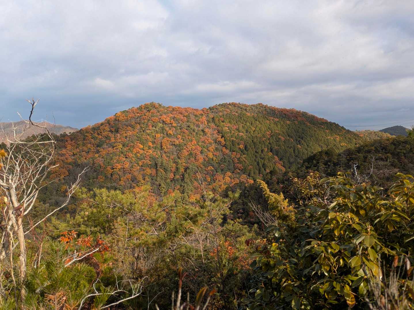 大人しく歩いてます(笑)
これ大平山かな？山紅葉奇麗ですな！