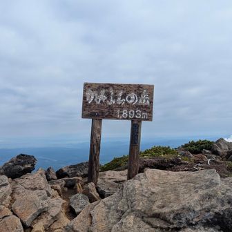 上富良野岳到着