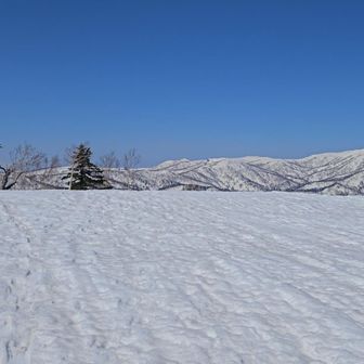 広いなぁ、広い

余市岳を無意根山だと思って進もうとしましたꉂ🤣𐤔

かなり呼ばれてます🧚‍♀️