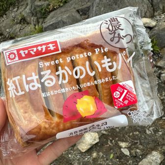 セブン購入の、芋パイ