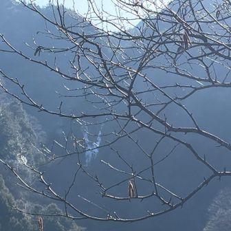 天狗岩の展望台から夫婦滝が小さく見えた