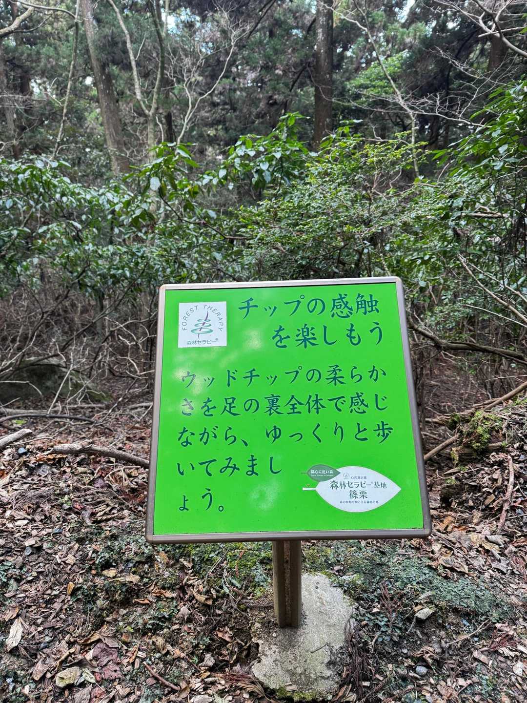ウッドチップが敷き詰めてあります
フカフカ😊