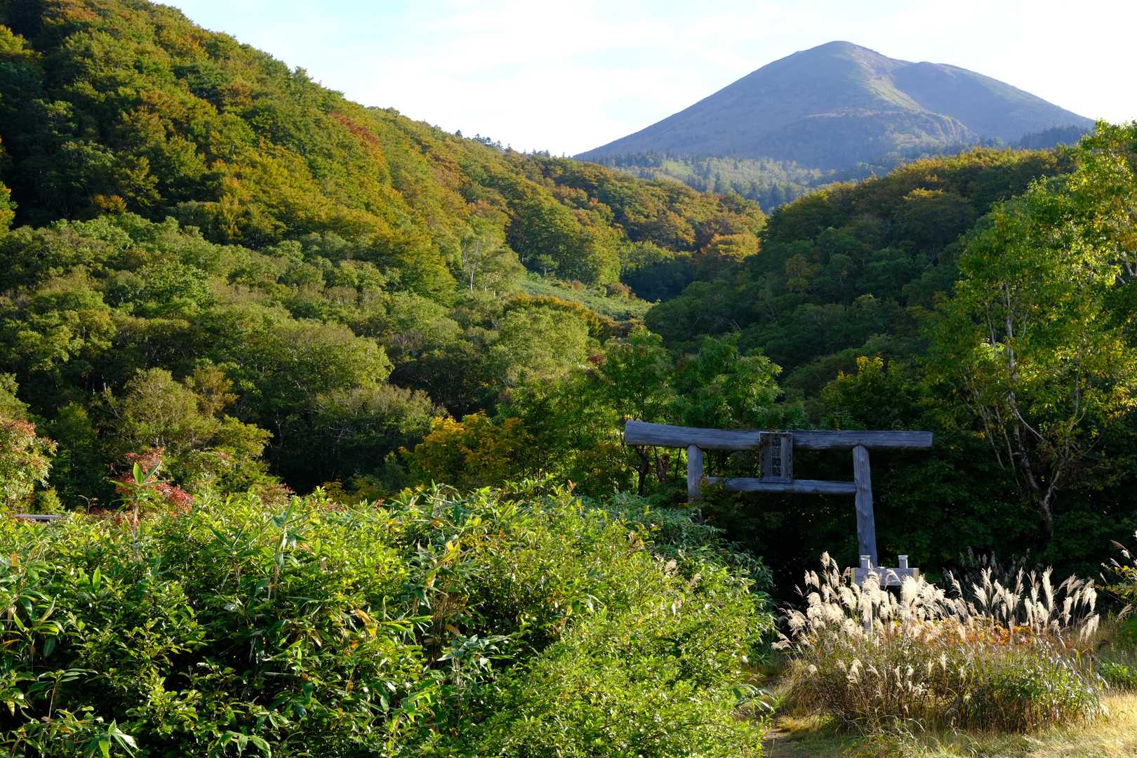 先程の駐車場から車道を渡り、すぐ先に佇む鳥居が登山口の目印である(但し、写真に写っている鳥居では無く、その右手側に位置する別の鳥居なので注意)。