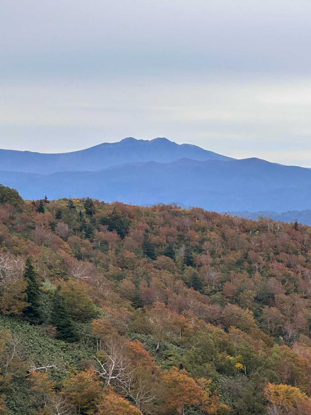 肉眼の方が綺麗に見えた🤩
奥には秋田駒ケ岳