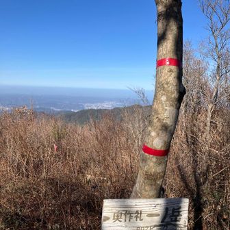 登山口から10分くらいで、奥作礼一ノ岳。
雲ひとつない良い天気☀️