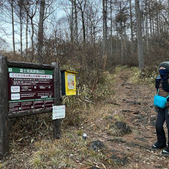 富士見高原駐車場の登山口からスタート
＊観音平登山口は、11月までで冬期通行止めです