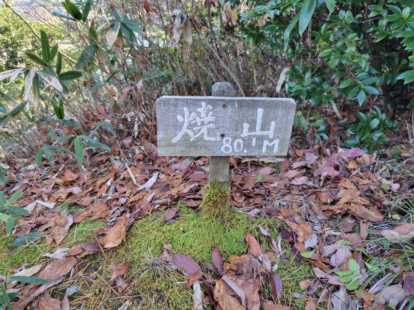 ここは登頂済み