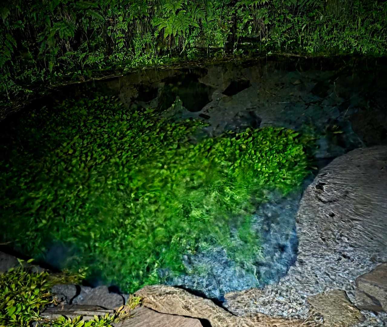 夜中でもこんこんと出てるんやね🚰当たり前か😅