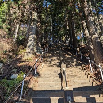阿夫利神社からの最初の登り階段はすごい角度です