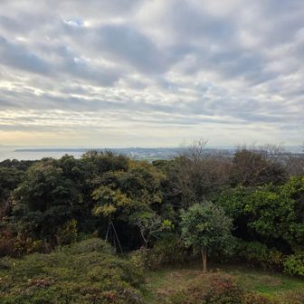 武山山頂から三浦海岸方面