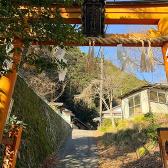 ありがとうございました😊