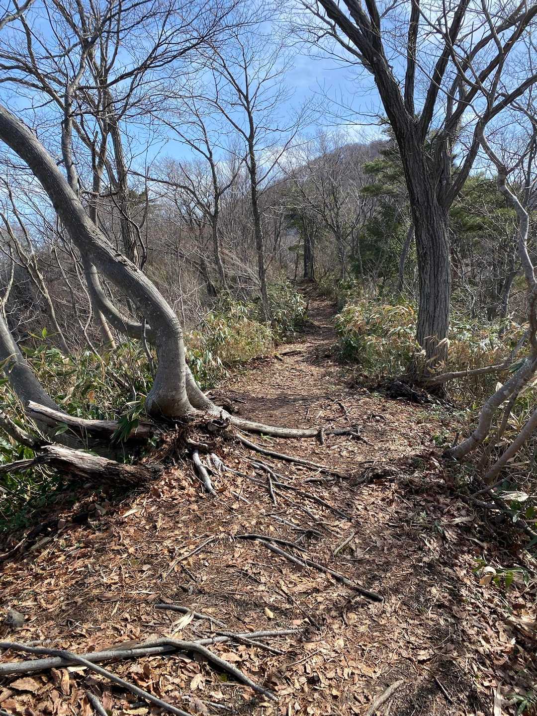 南保富士 往復コースの写真