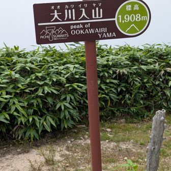 大川入山山頂とうちやこ🙌今日は風🍃も無くて蒸し暑かった。汗💧かいた。