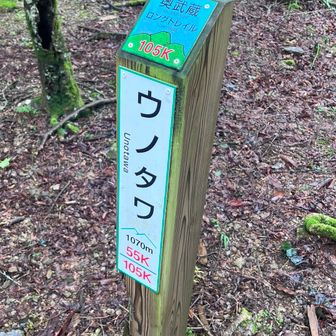 心を強くもって進み

念願のウノタワ到着