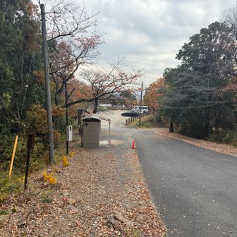 15分もかからずに駐車場に帰還。まだ昼過ぎだけど面倒臭くなったんで本日終了。