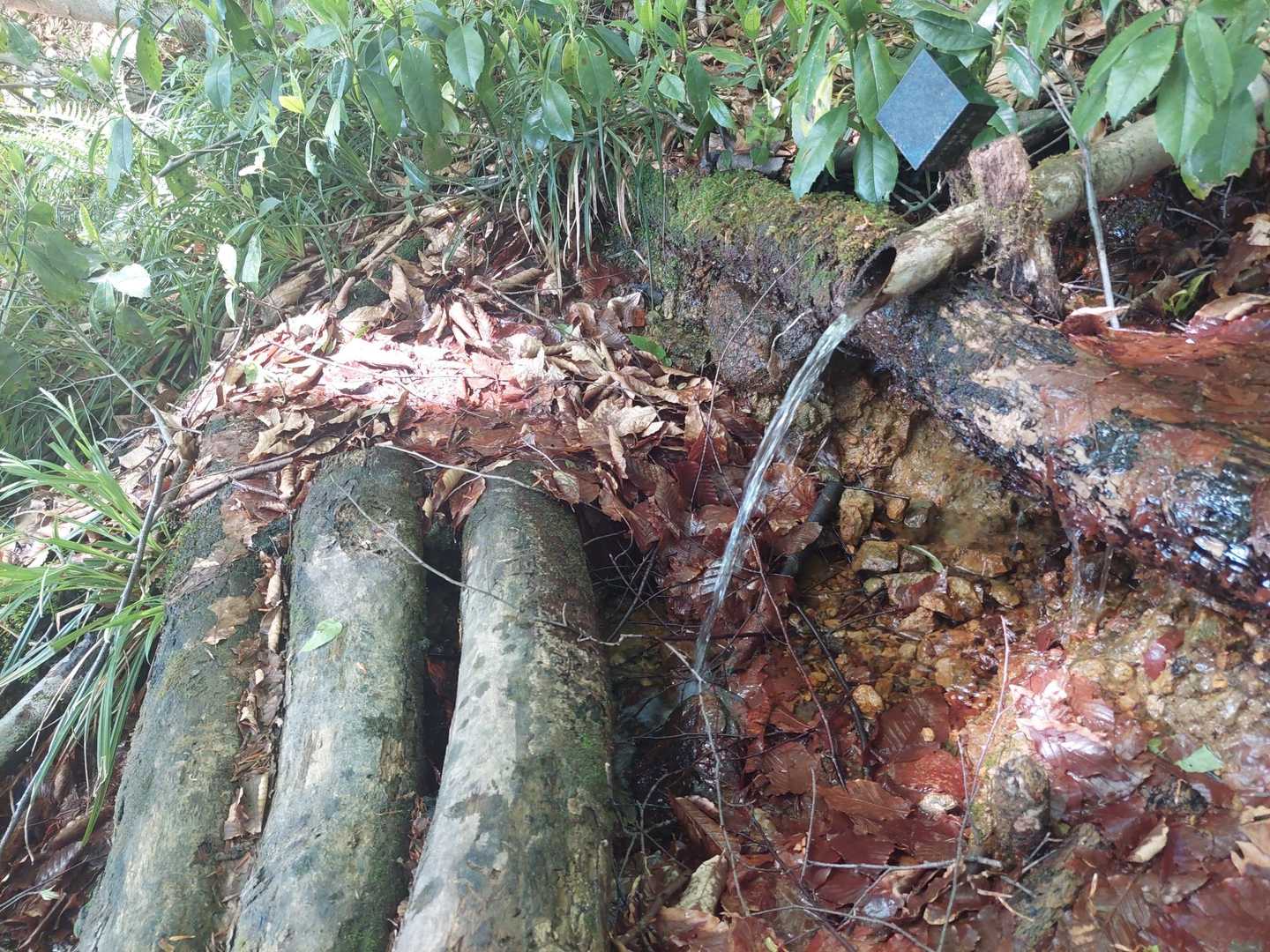 水場ありました