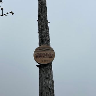 山頂ランドマーク付近には、見つけにくいですがこの山名板が。
少し先に展望台があるようですが、ガッスガスで何も見えないのでパスして😶‍🌫️