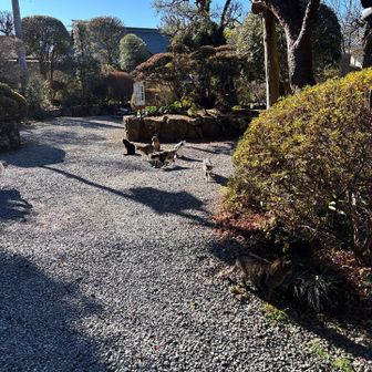 本当に人慣れしてるな〜