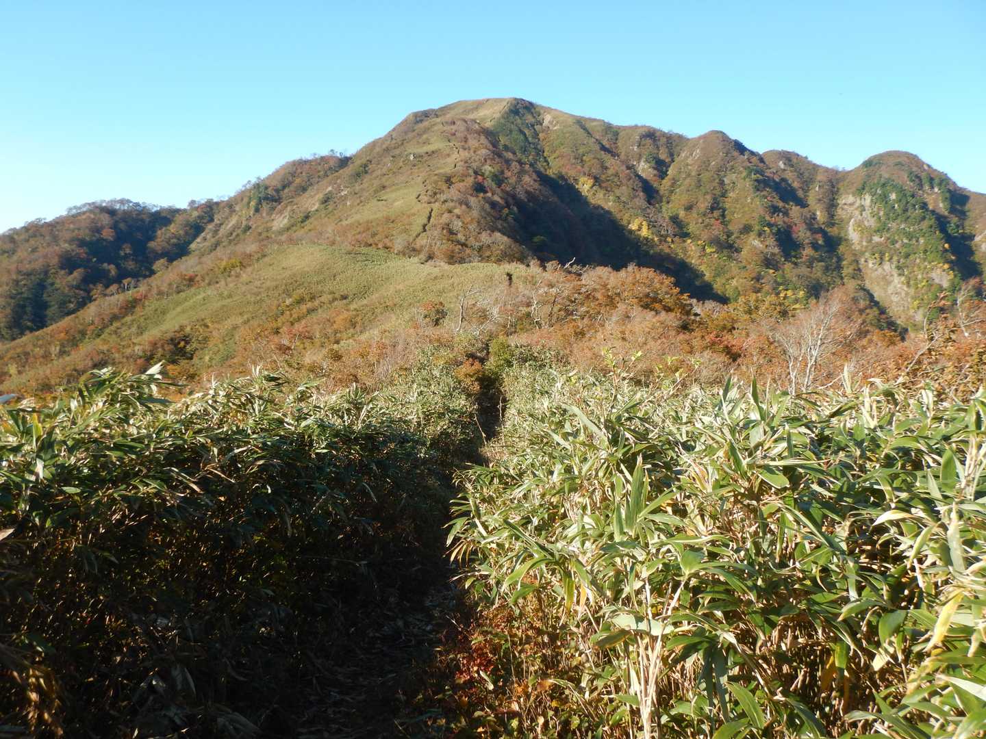 白倉山へ続く気持ちのいい稜線