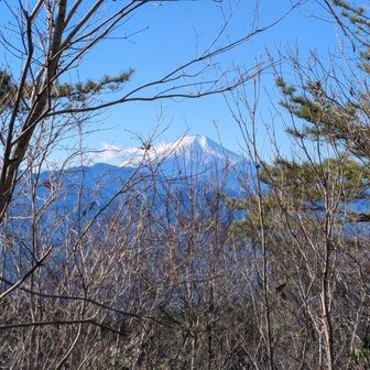 生藤山の頂上からだとギリギリ枝にかかるか かからない富士山、強風？雪が舞ってる？
若干雲っぽいね　先を急ごう！