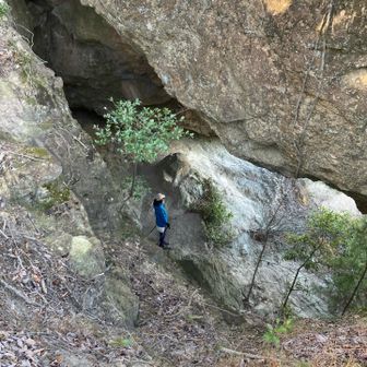 「神座の巌」を上から見たらこんな感じ