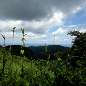 城山山頂から