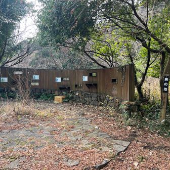 バードウォッチングスポット🐤