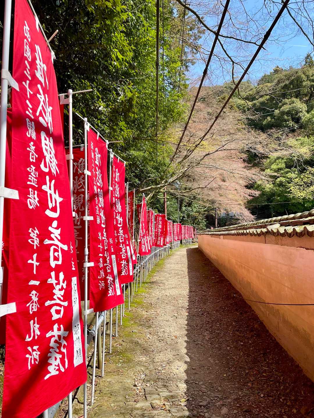 🍃✨上醍醐登山道⑤✨🍃