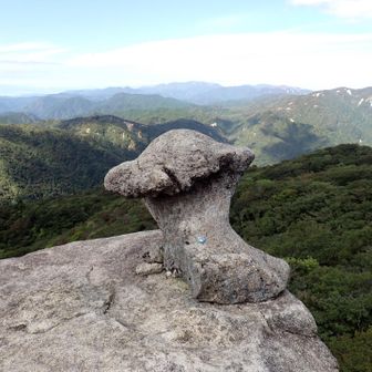 キノコ岩