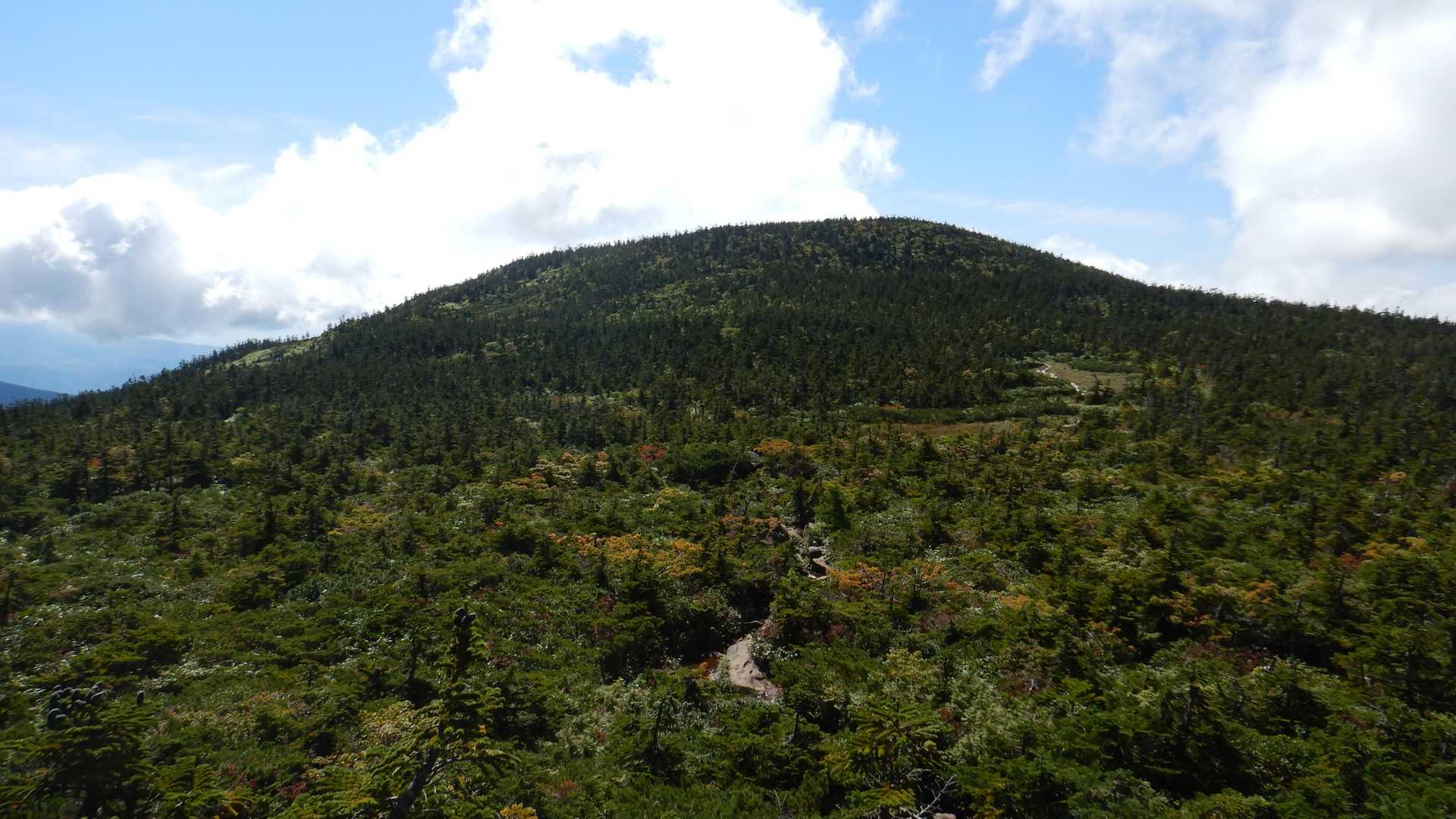 西吾妻山の全景ですね。
ここが白銀の世界になったら素敵な筈です！
冬も来られるようになるかな？