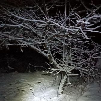 山頂近くでは雨が雪に❄