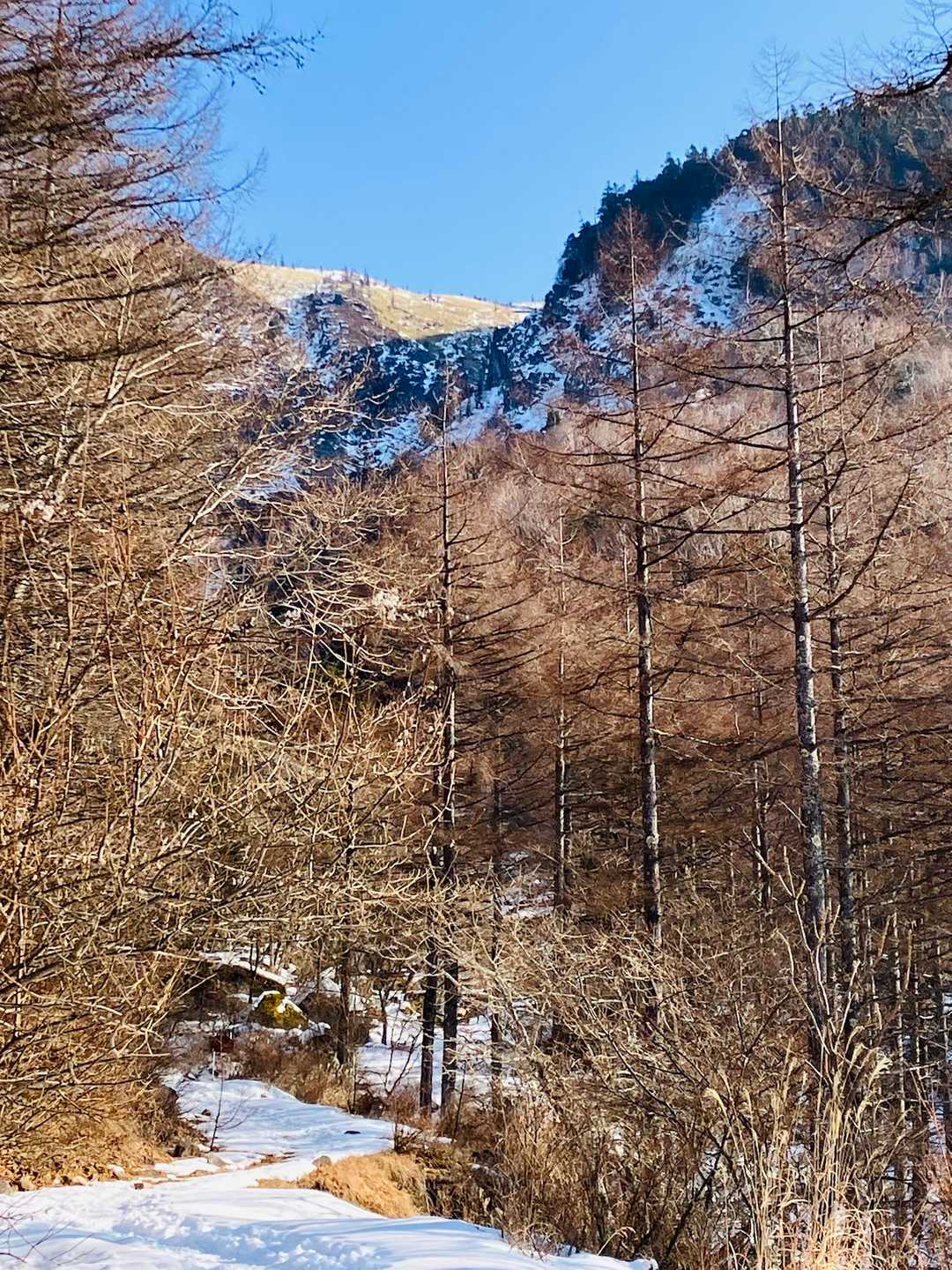 美ヶ原 往復コースの写真